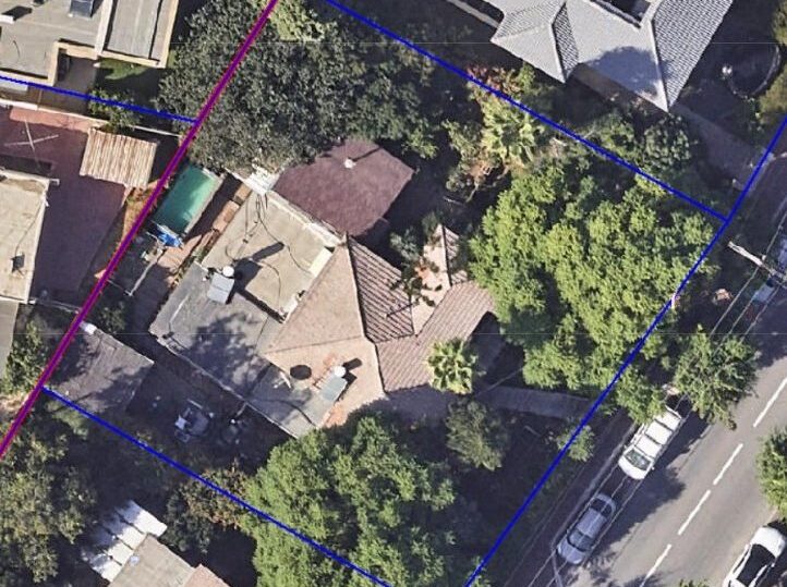 שבטי ישראל 8 e1709469884416