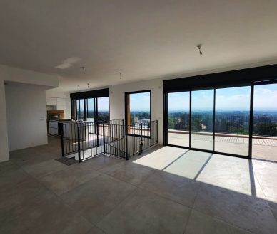 ברובע הדר דופלקס גג חדש